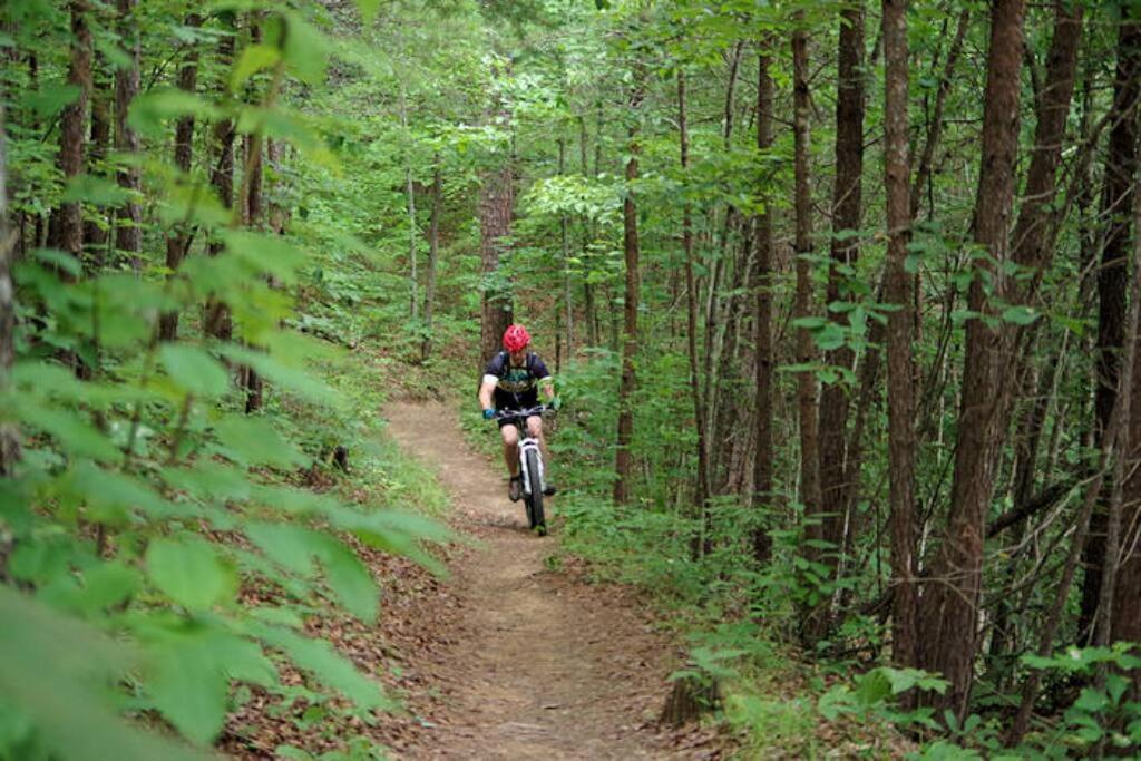 Art'S Bungalow-Wooded Seclusion 1 Mi To Deep Creek And 布赖森城 外观 照片