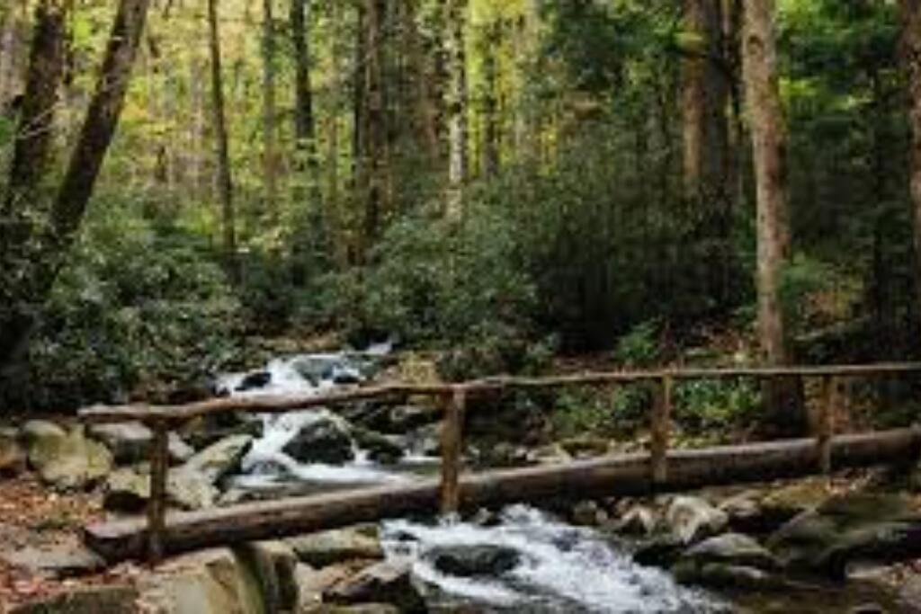 Art'S Bungalow-Wooded Seclusion 1 Mi To Deep Creek And 布赖森城 外观 照片