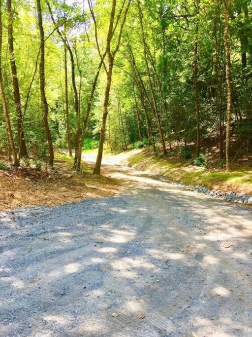 Art'S Bungalow-Wooded Seclusion 1 Mi To Deep Creek And 布赖森城 外观 照片